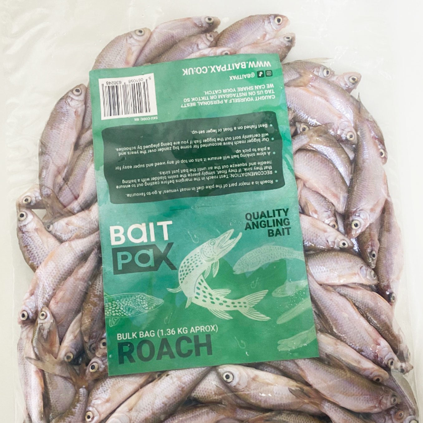 Roach