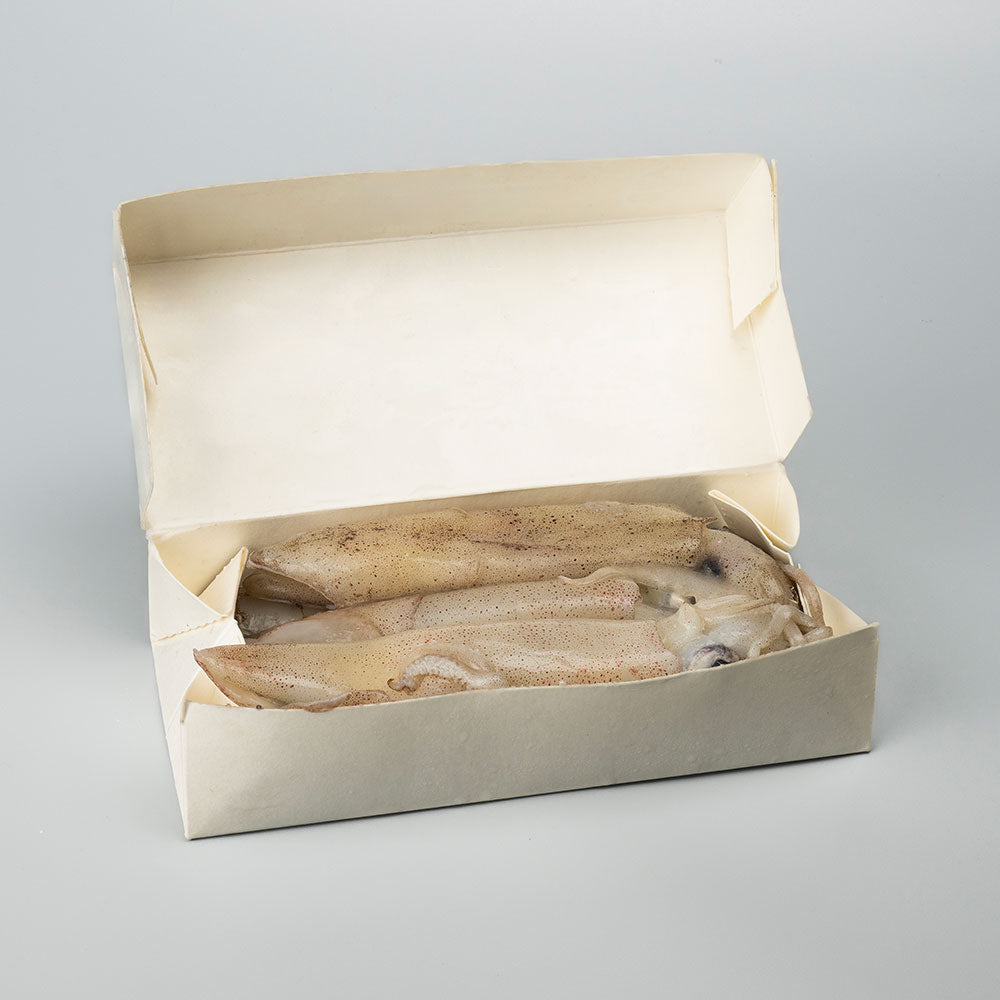 Boxed Squid
