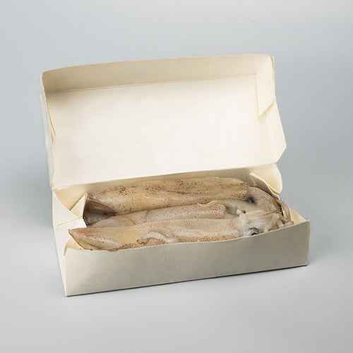 Boxed Squid