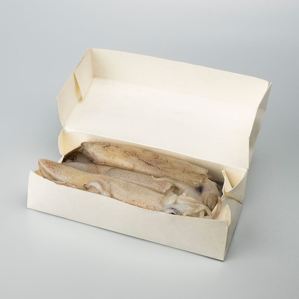 Boxed Squid