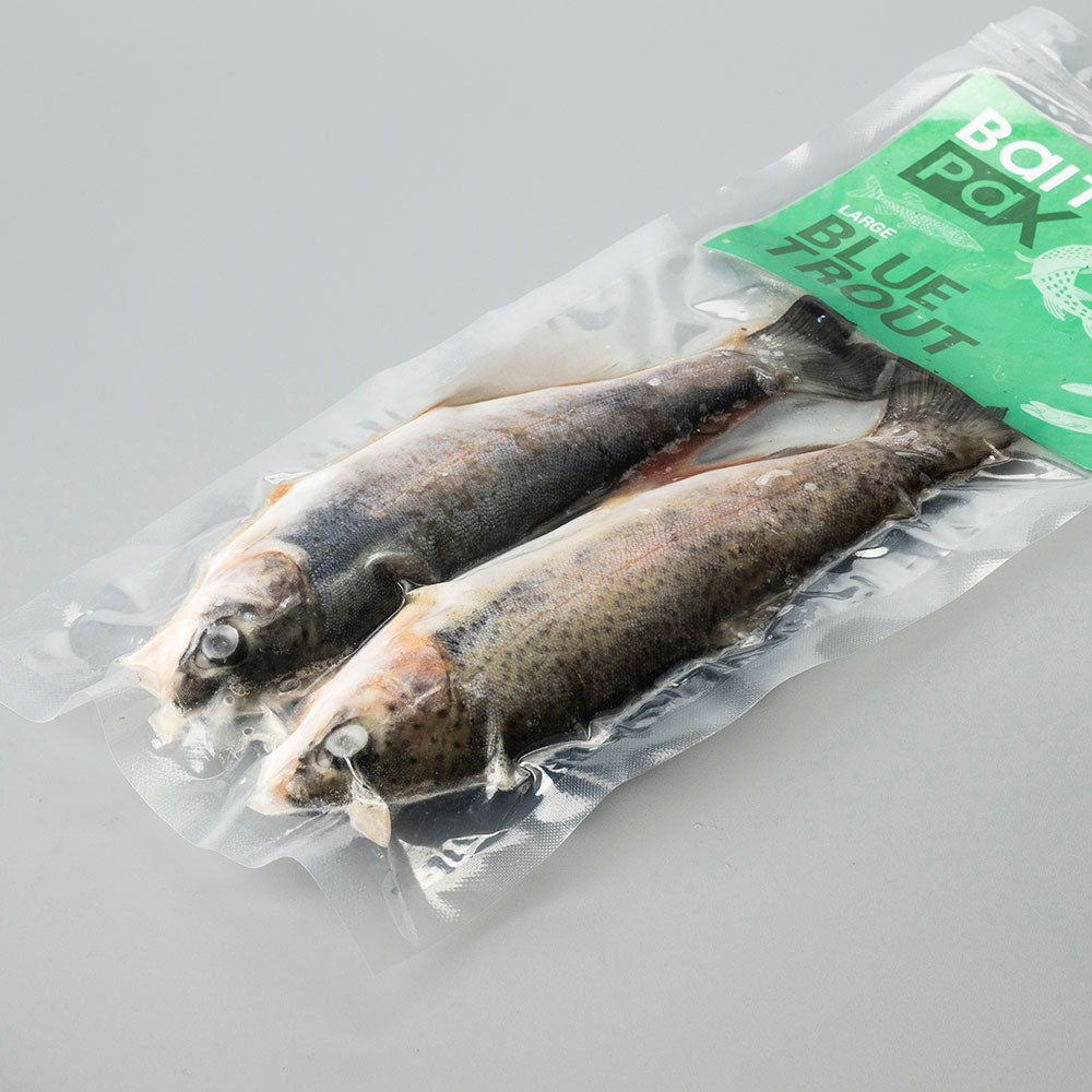 Blue Trout