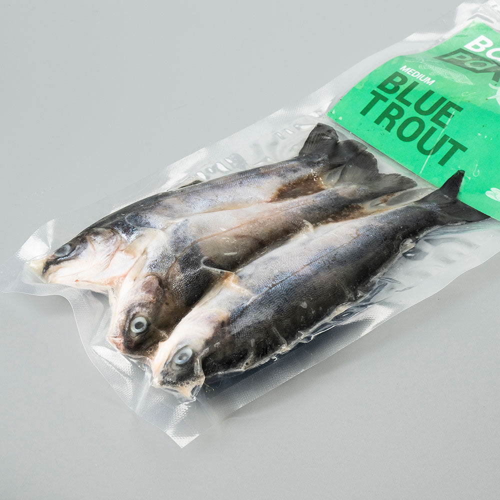 Blue Trout