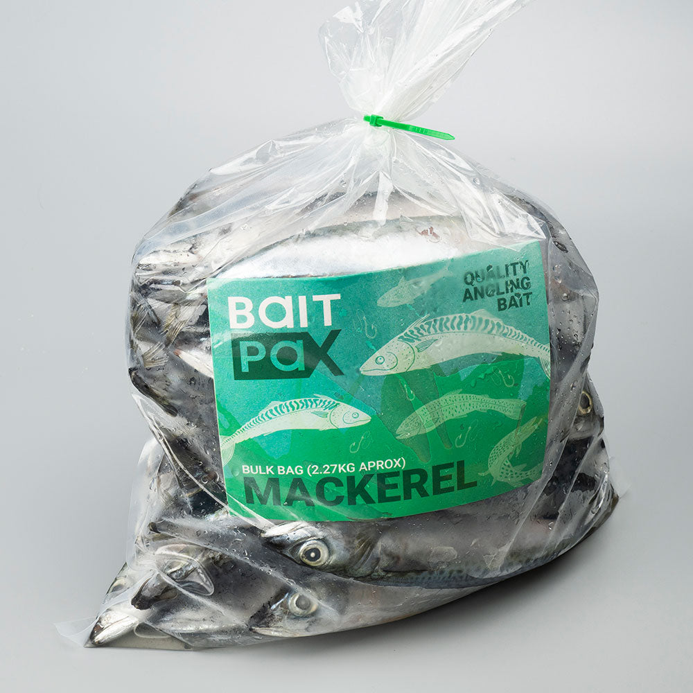 Mackerel
