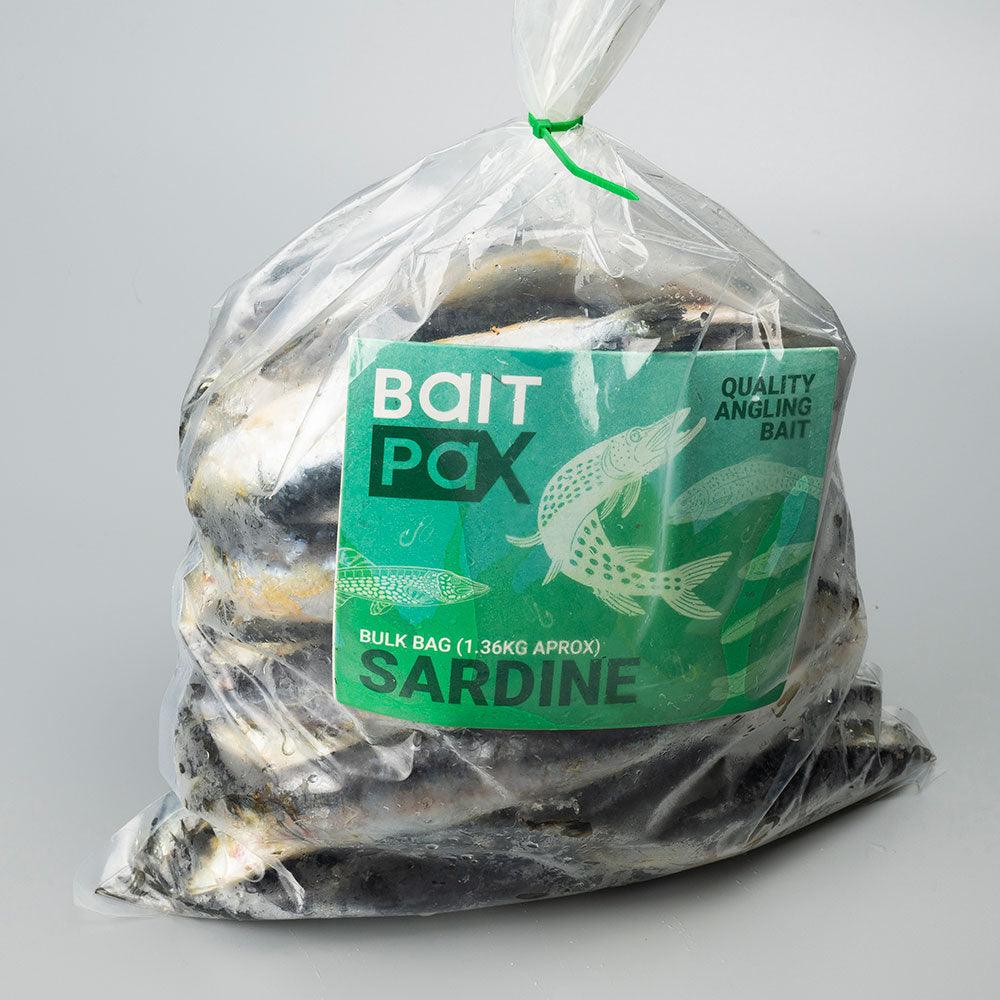 Sardine