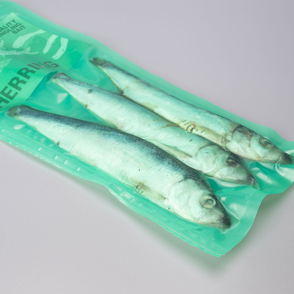 Herring