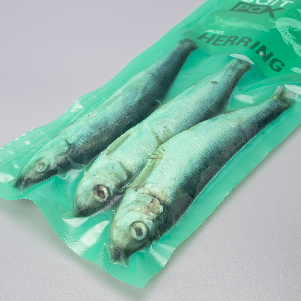 Herring