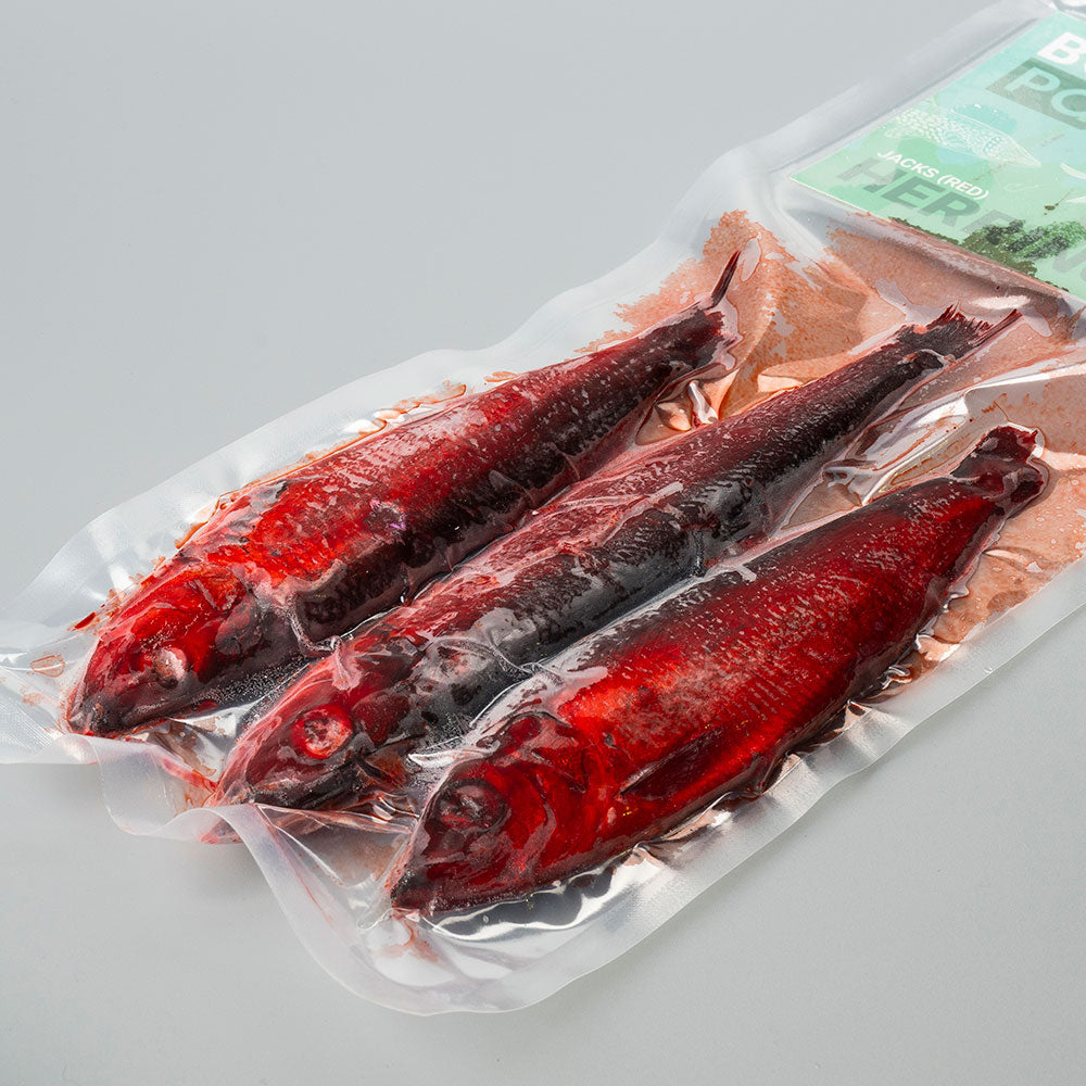 Herring