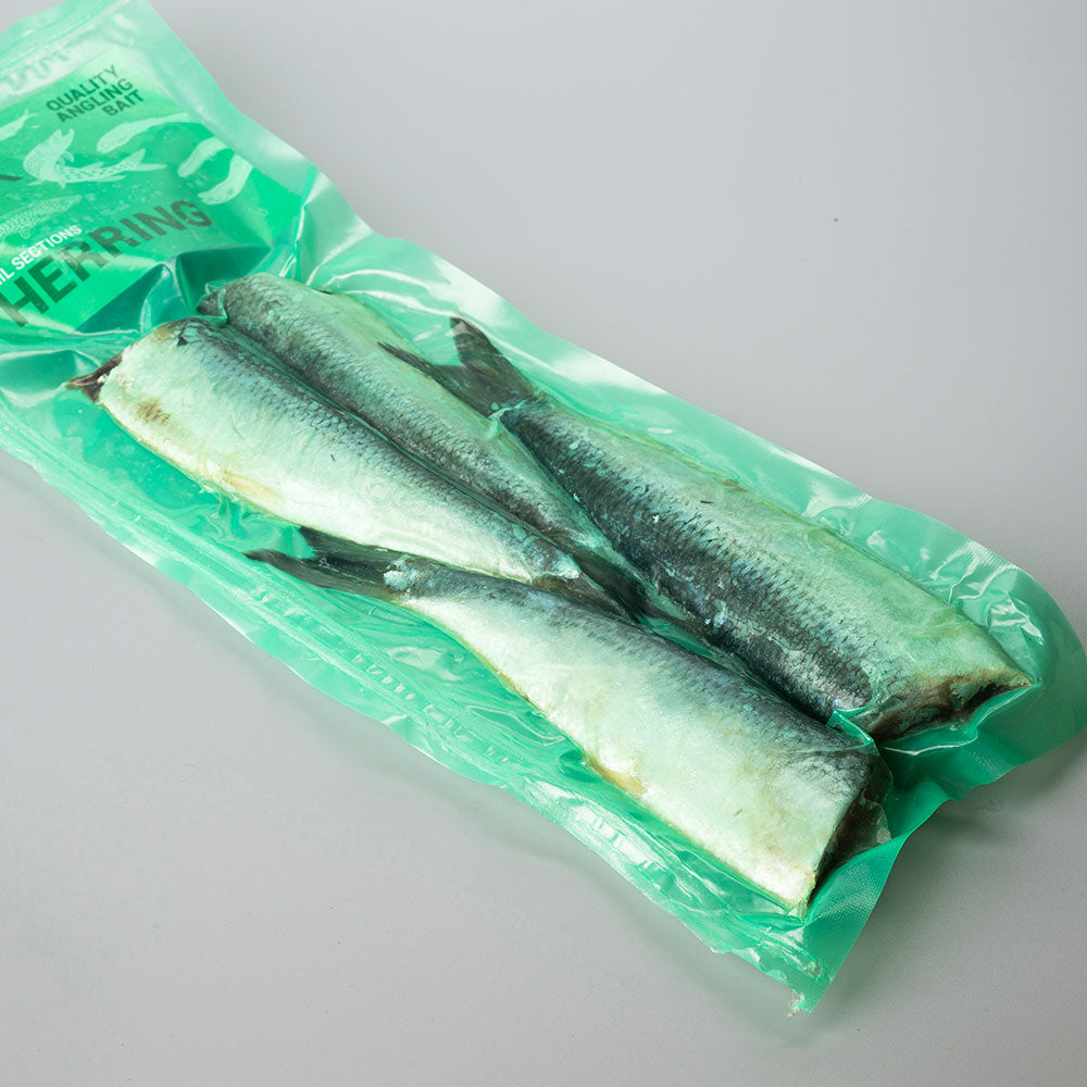 Herring