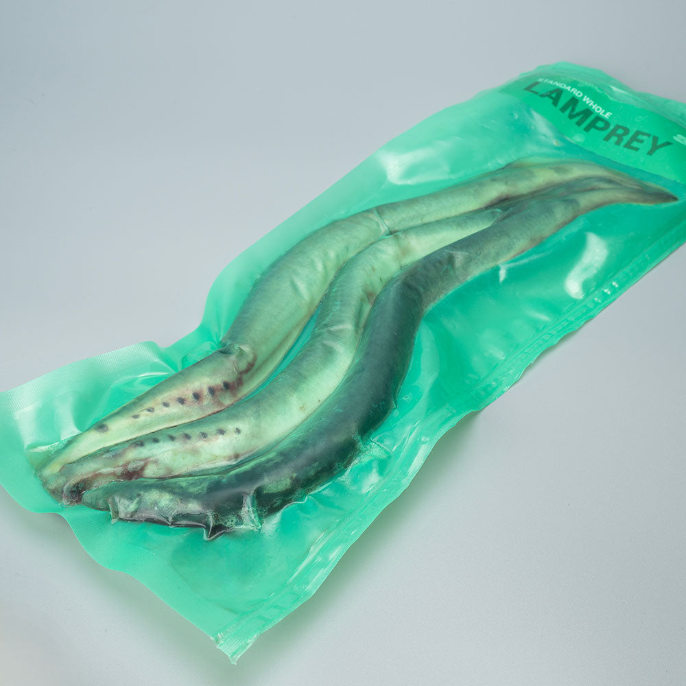 Lamprey
