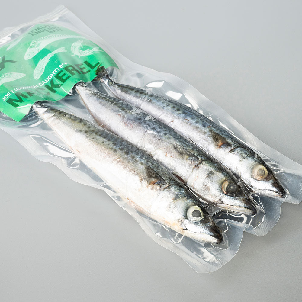 Mackerel