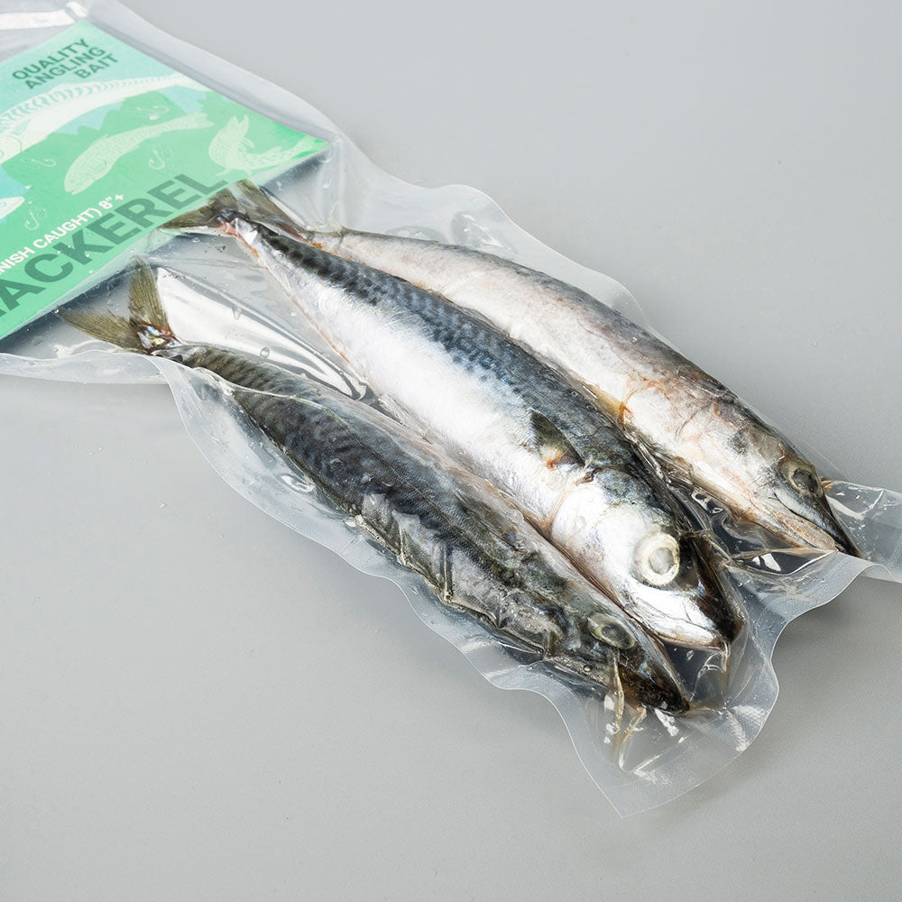 Mackerel