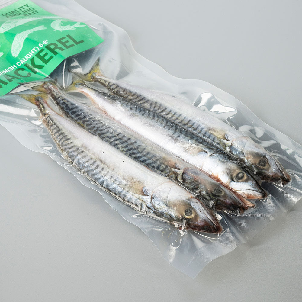 Mackerel