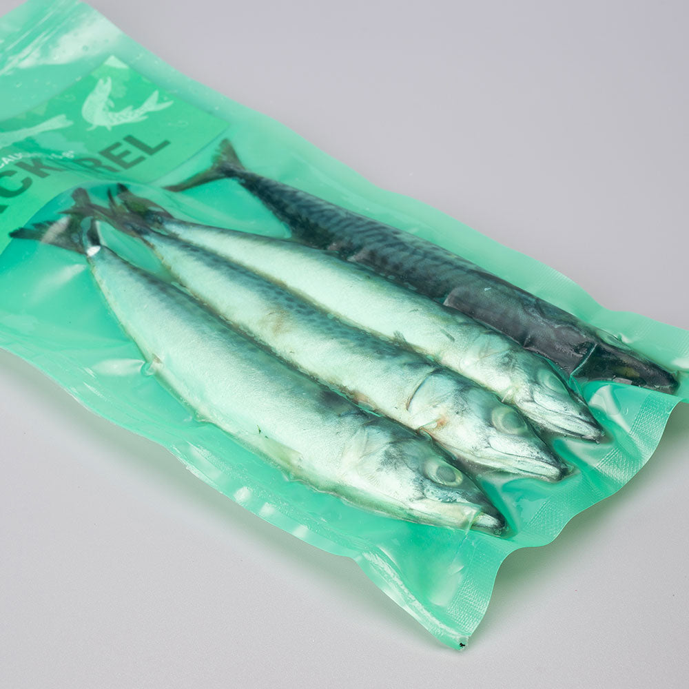 Mackerel