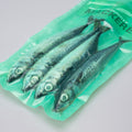 Mackerel