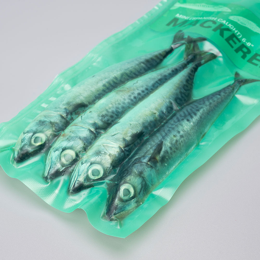 Mackerel