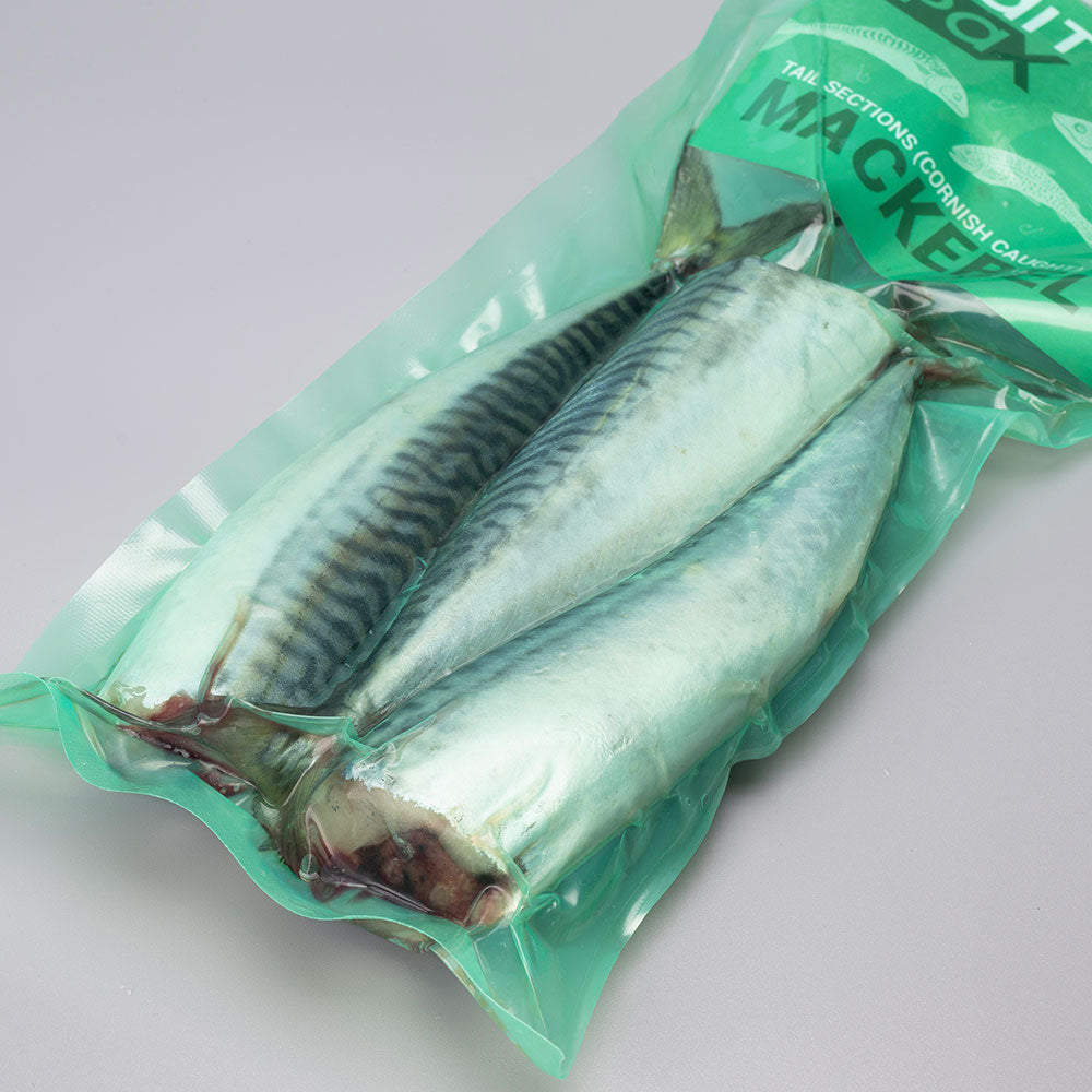 Mackerel