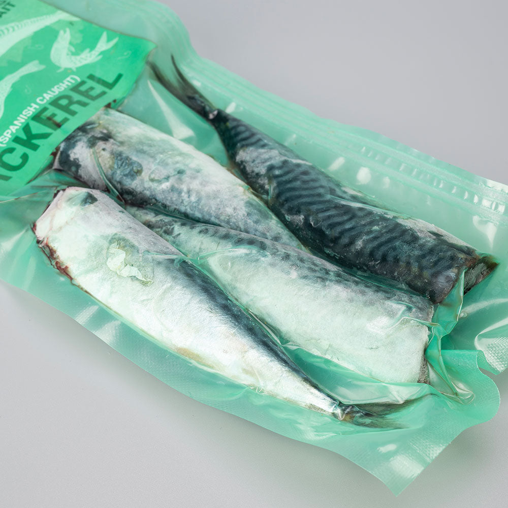 Mackerel