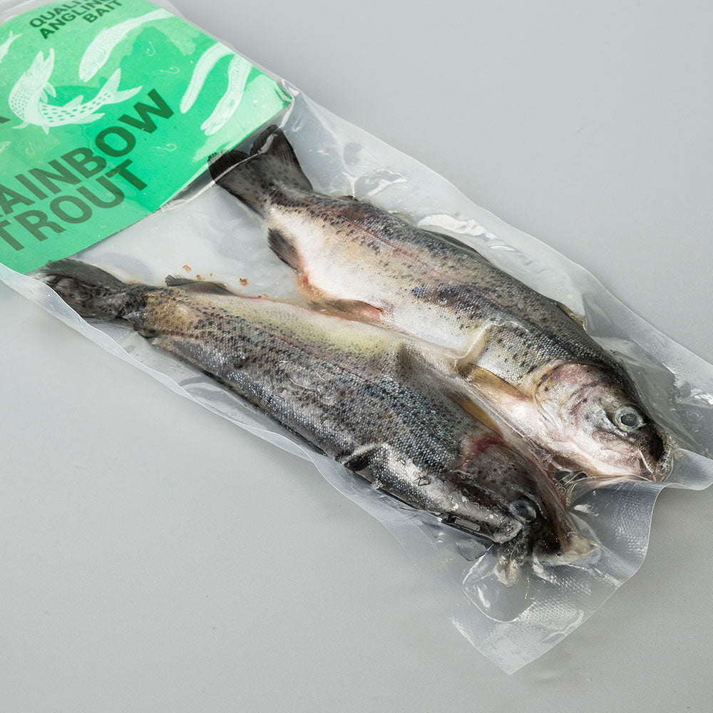 Rainbow Trout