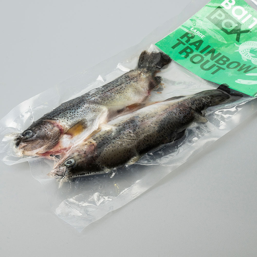 Rainbow Trout