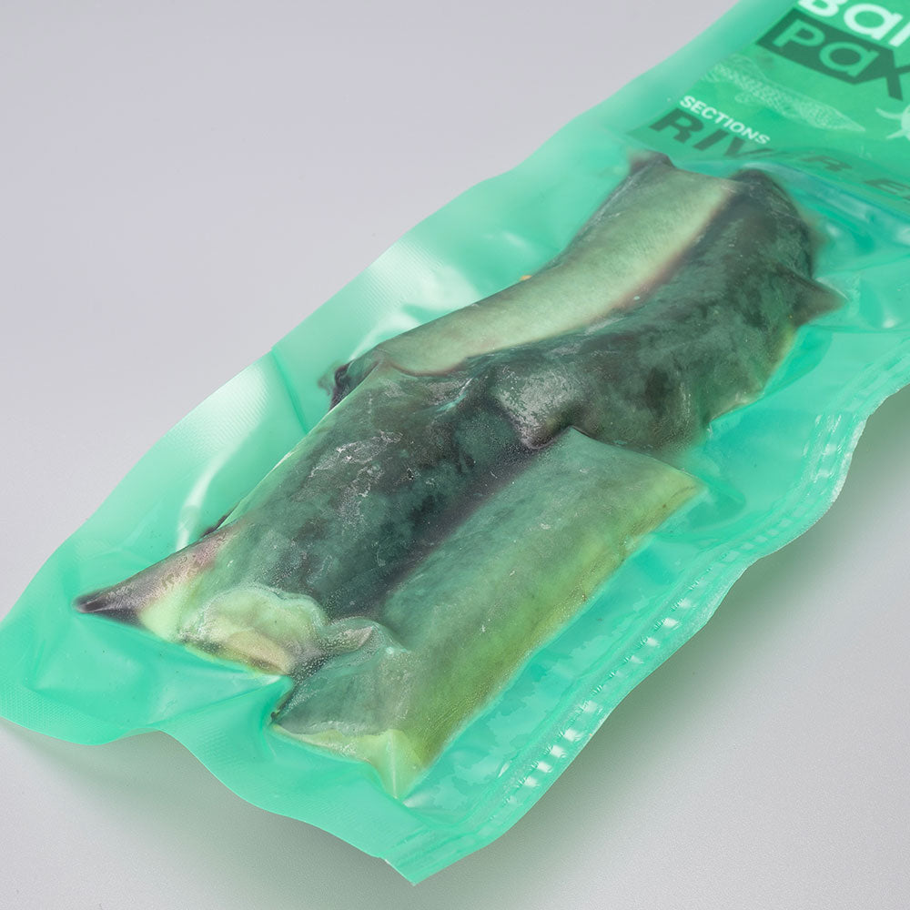 River Eel