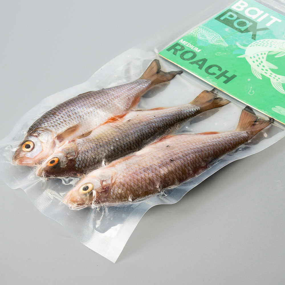 Roach
