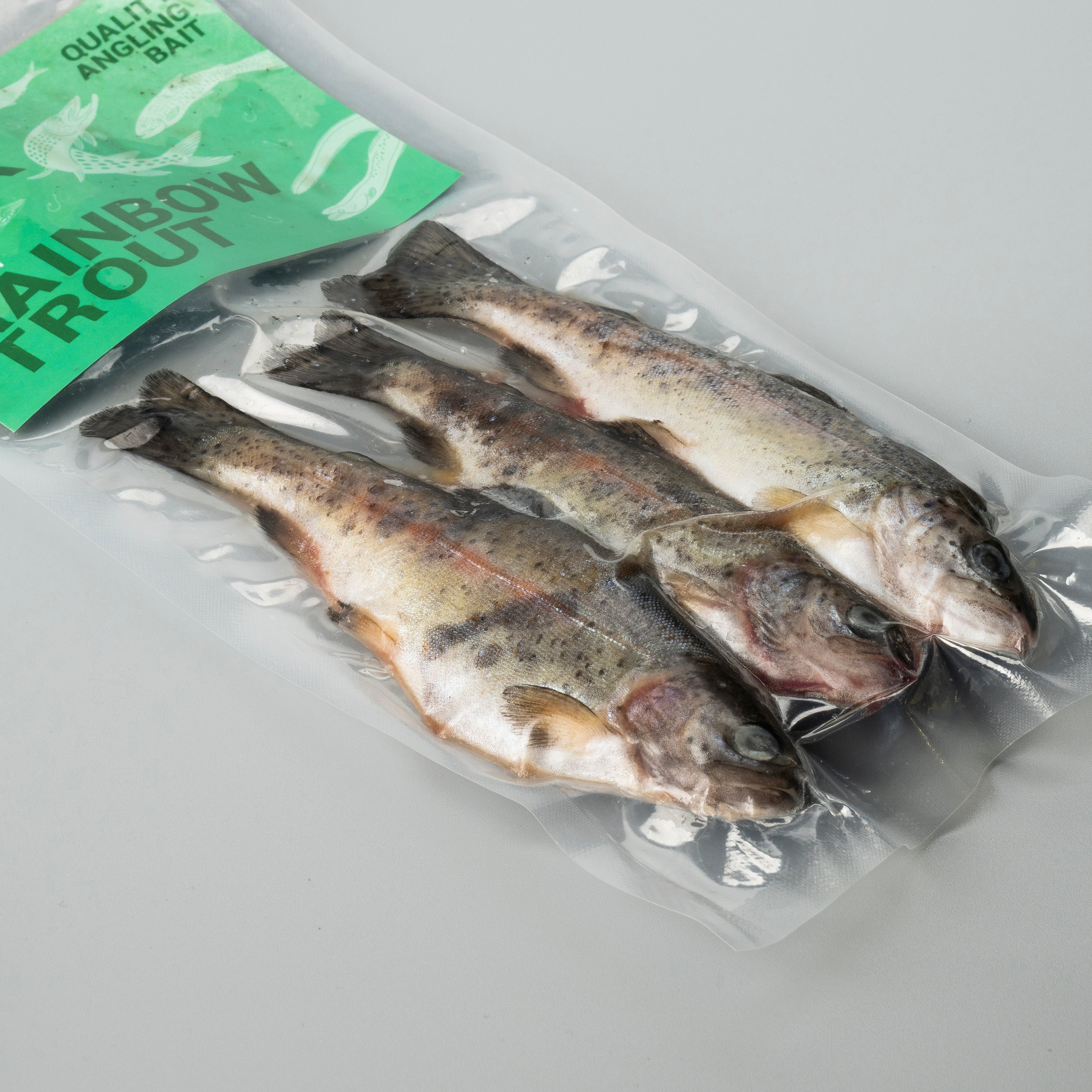 Rainbow Trout
