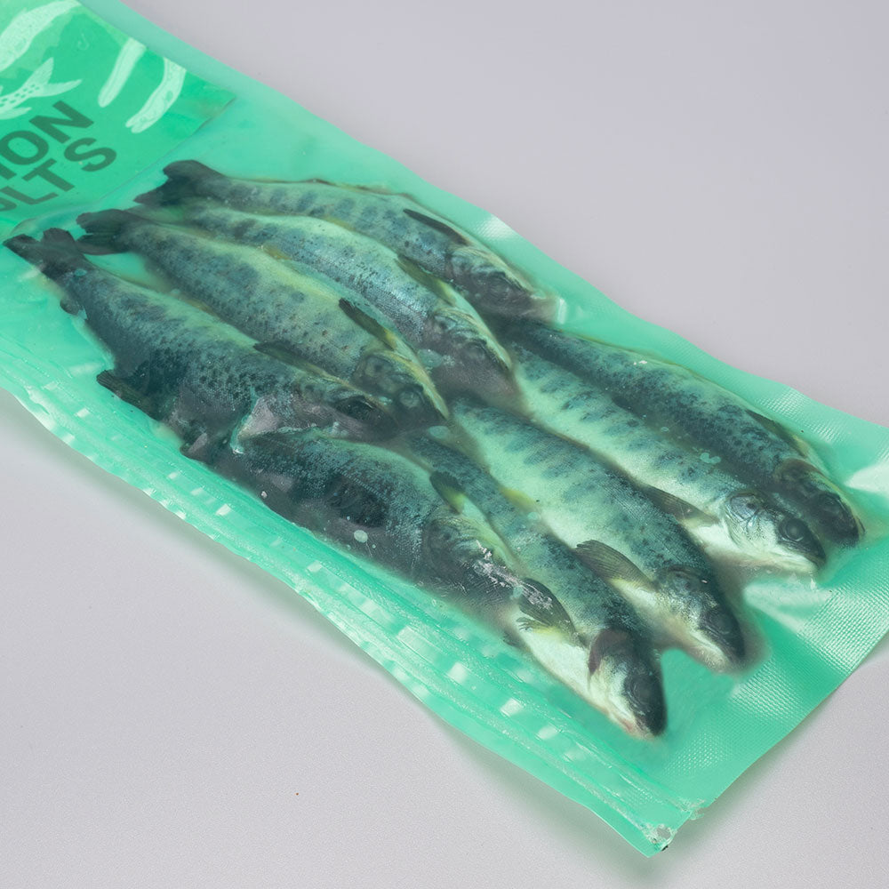 Salmon Smolts