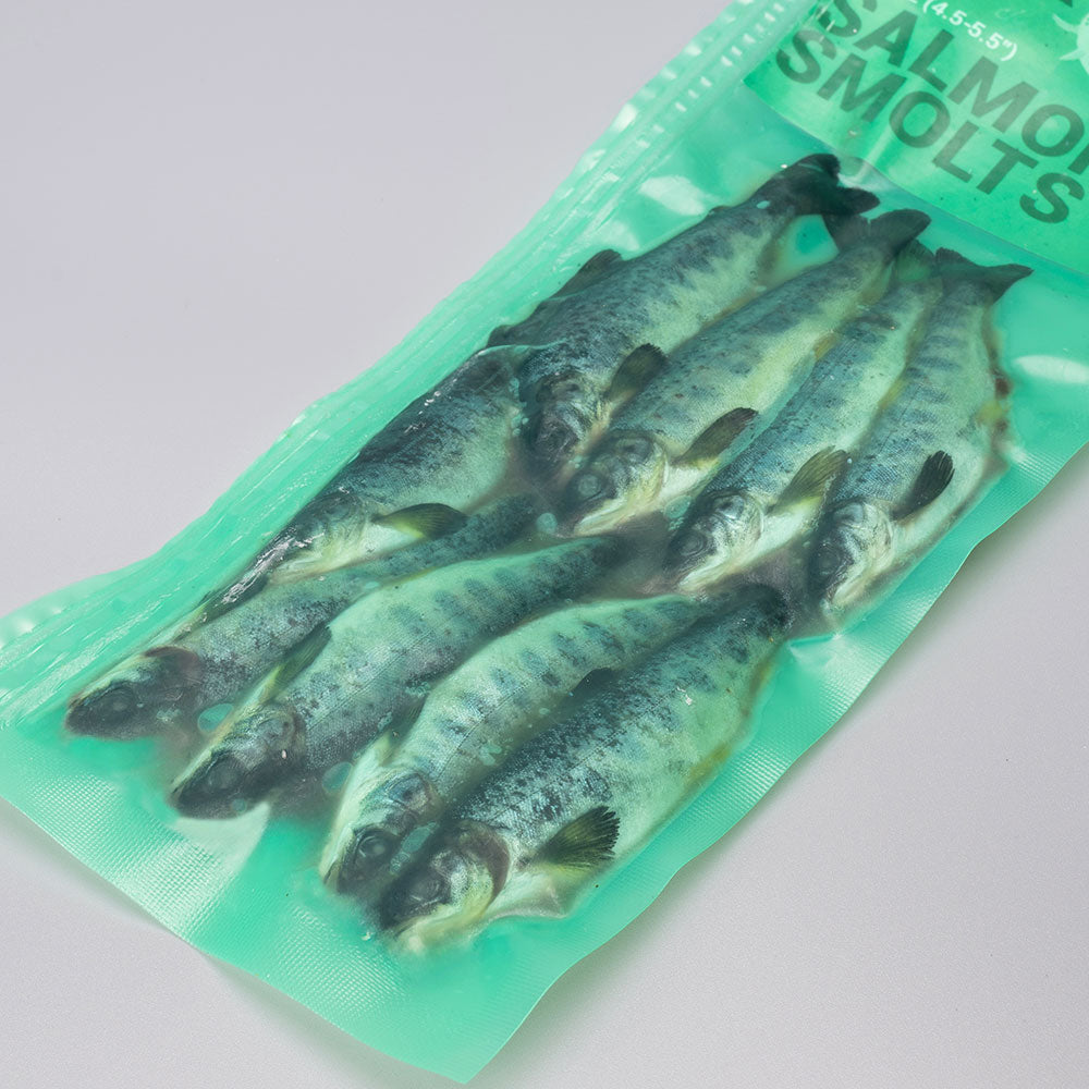 Salmon Smolts