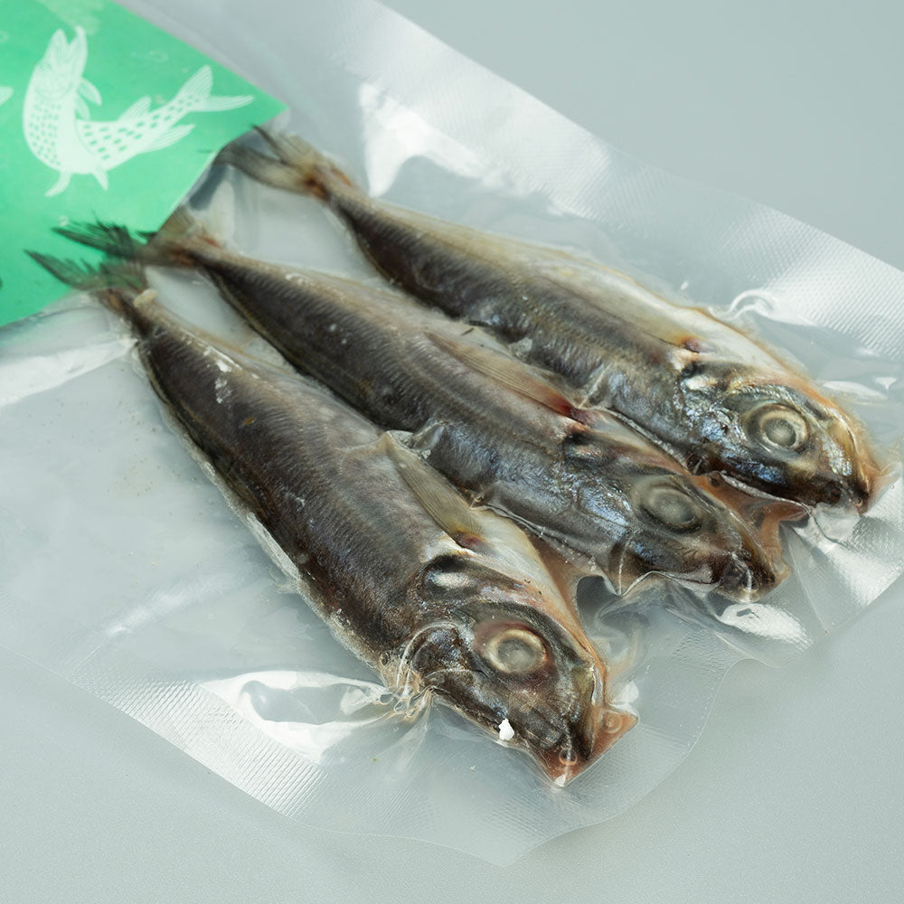Scad - Horse Mackerel