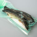 XL Trout X2 (150-250g each)
