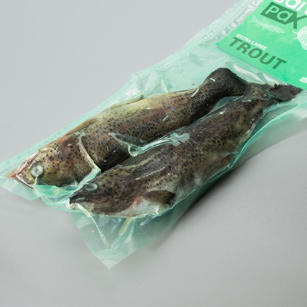 XL Trout X2 (150-250g each)