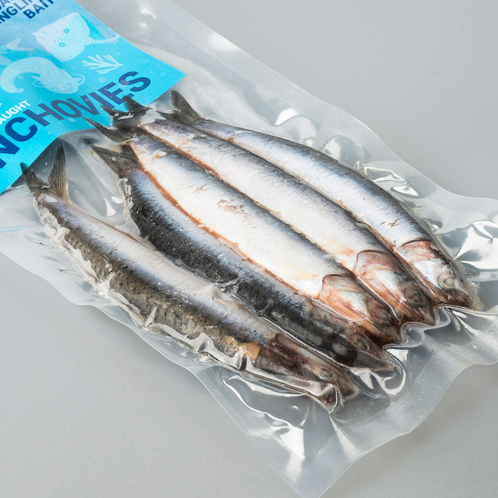 Cornish Anchovies