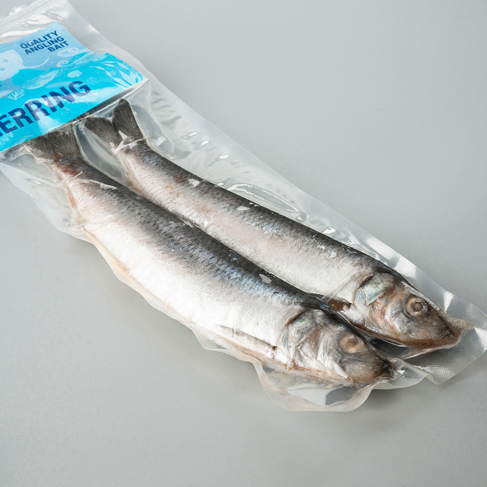 Herring