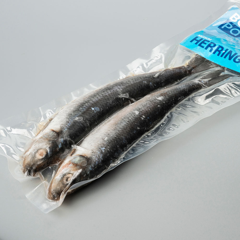 Herring