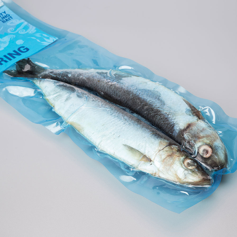 Herring