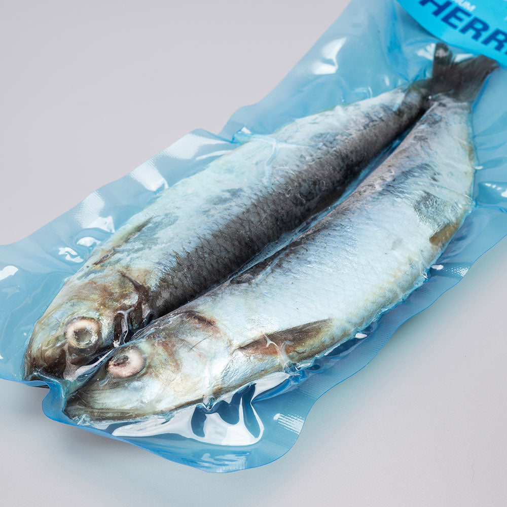 Herring