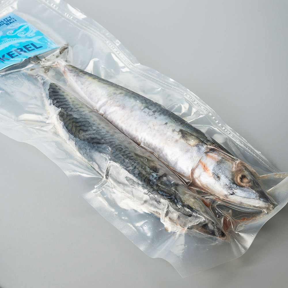 Mackerel