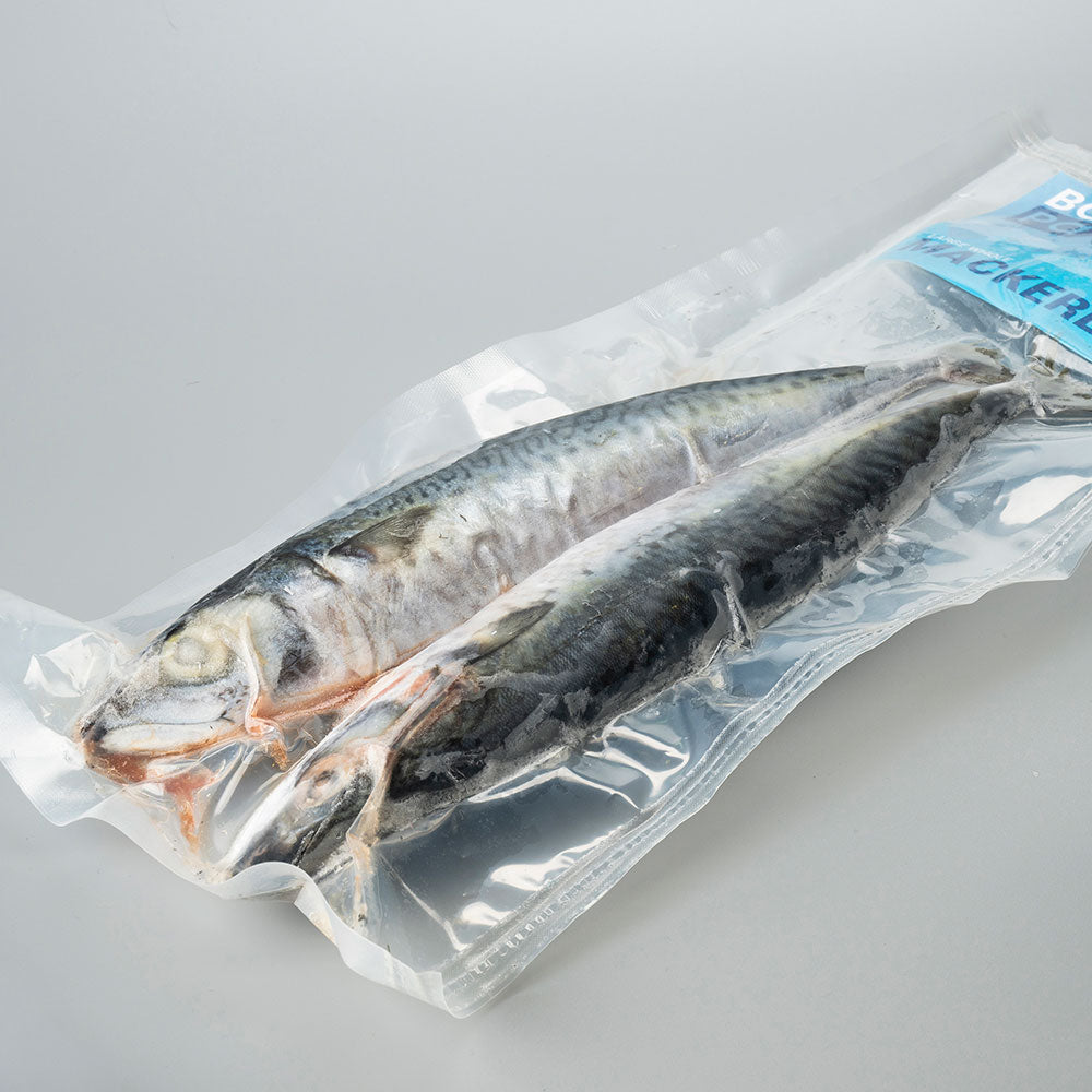 Mackerel