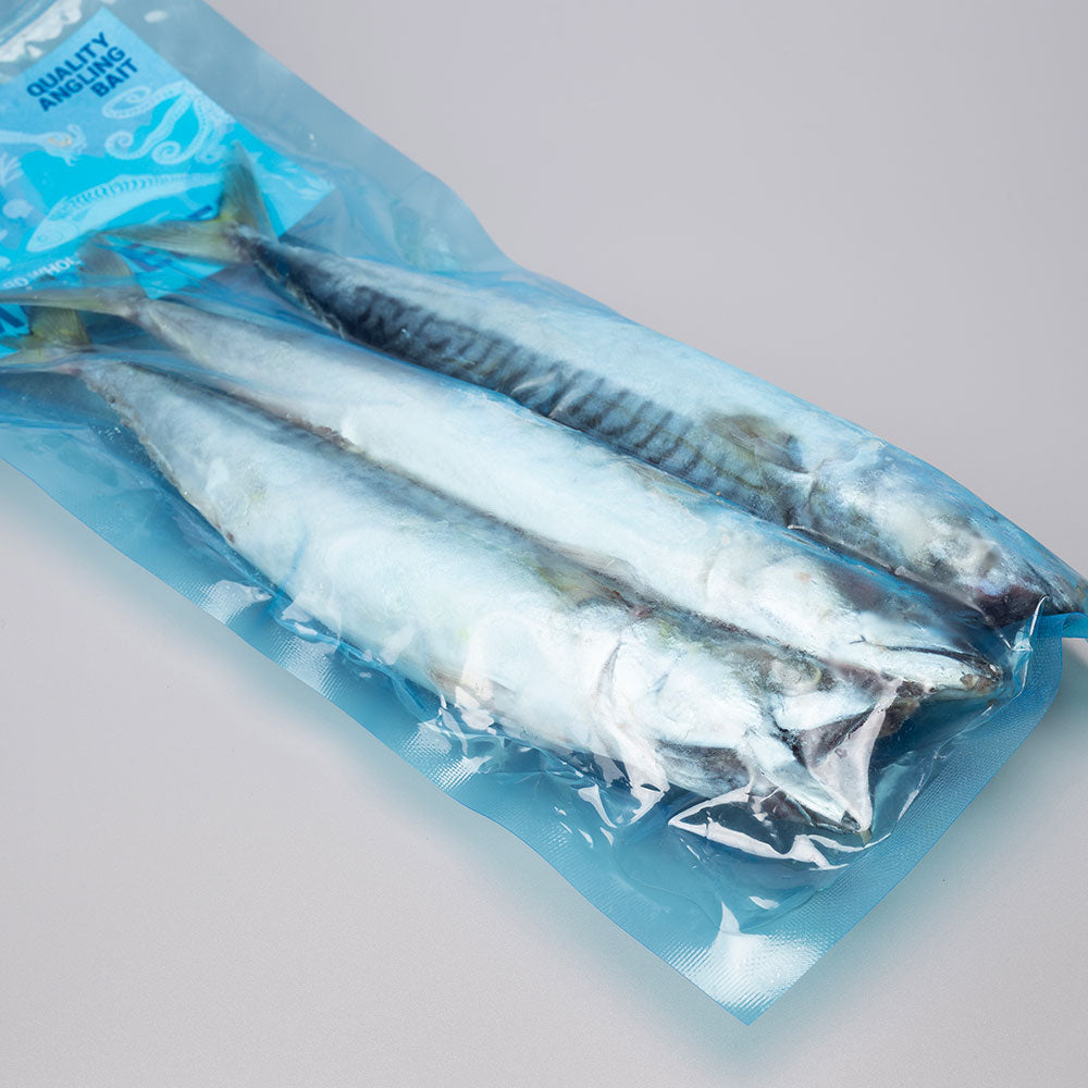 Mackerel