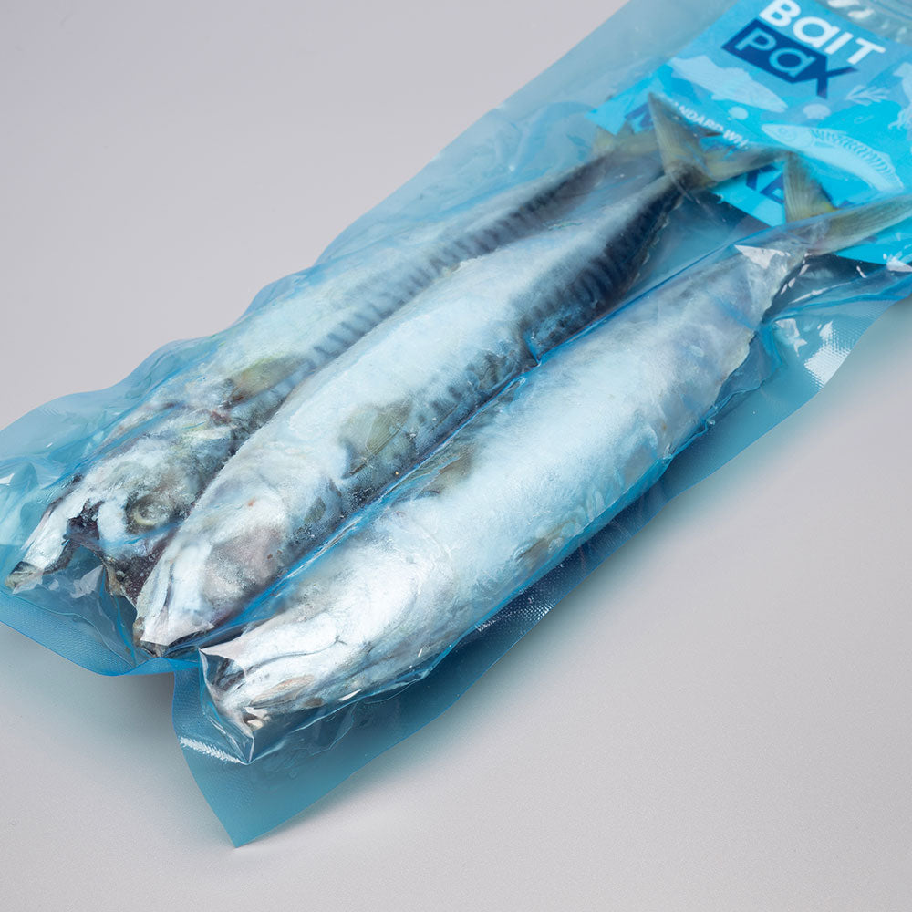 Mackerel