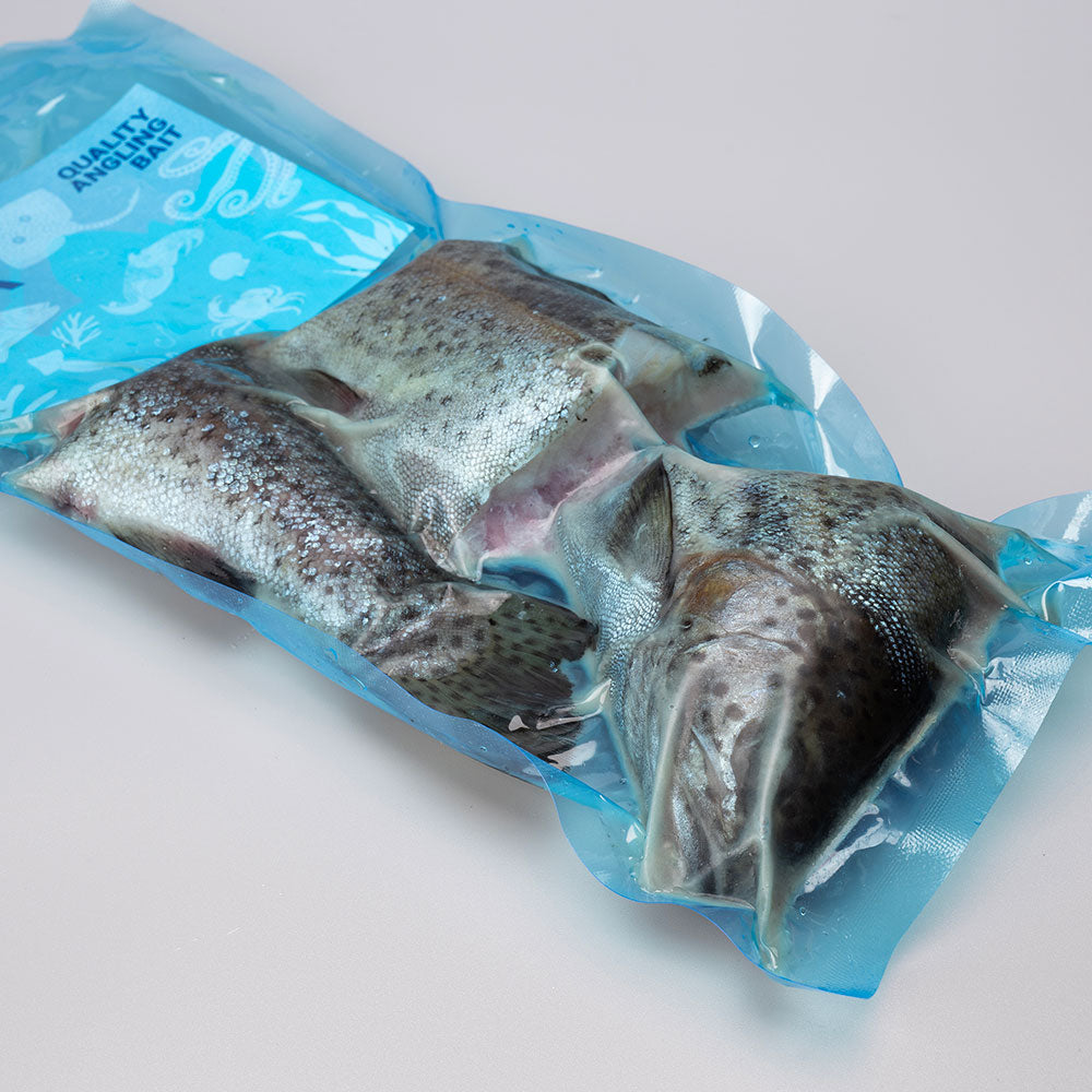 Jumbo Trout Sections (x3)