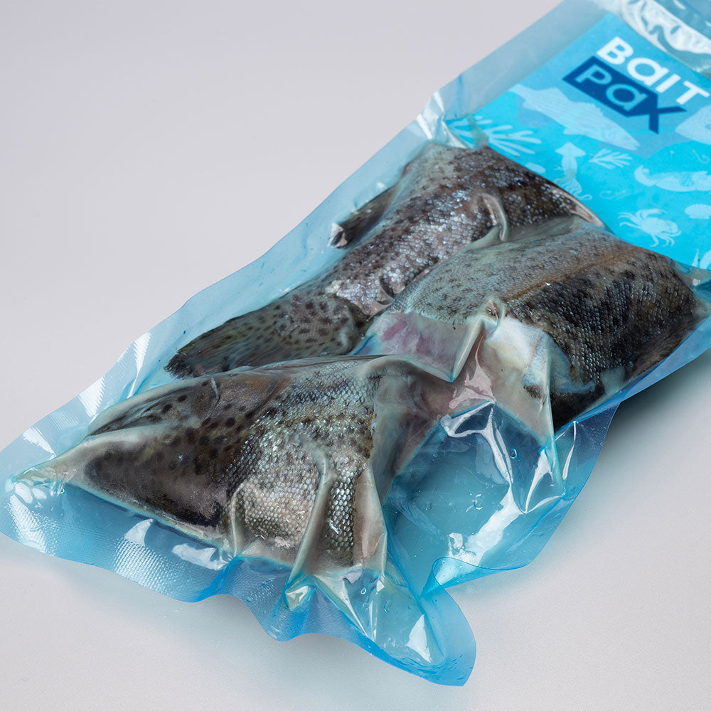 Jumbo Trout Sections (x3)