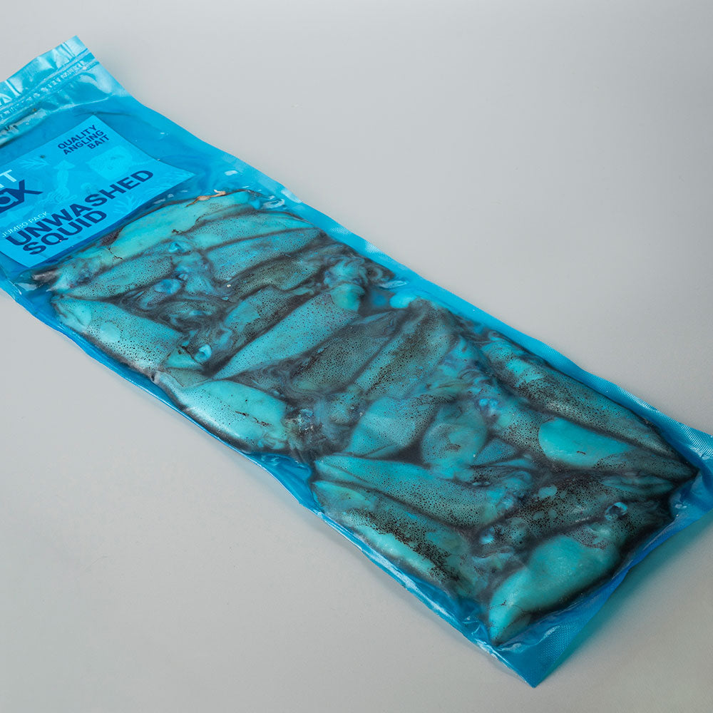 Unwashed Squid (Falklands/Patagonian)