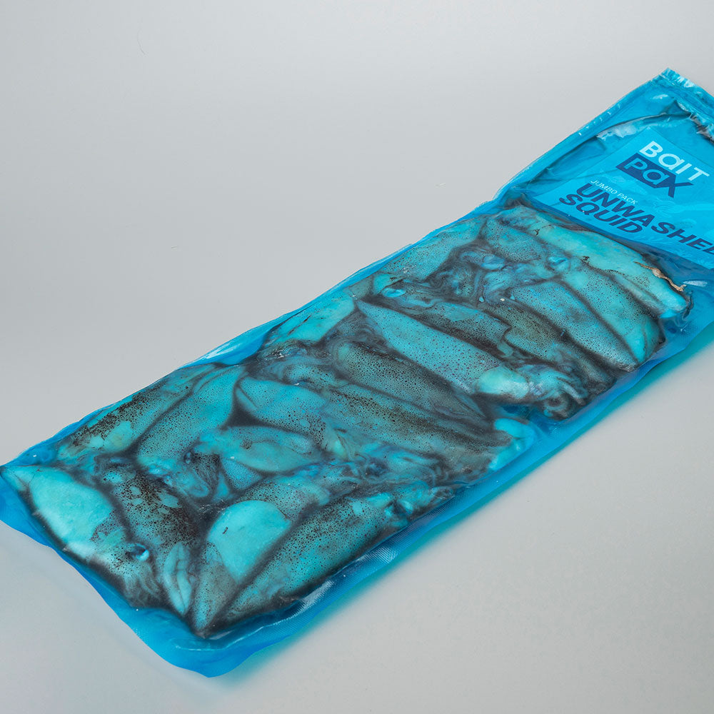 Unwashed Squid (Falklands/Patagonian)